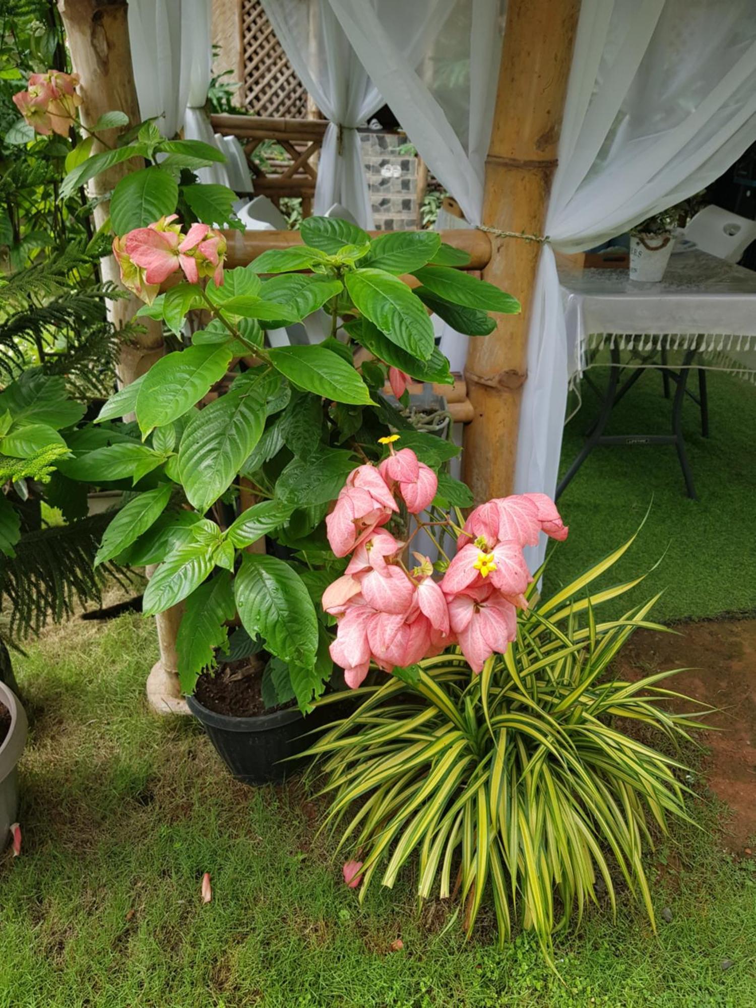 Apartament Hidden Haven Coron Zewnętrze zdjęcie